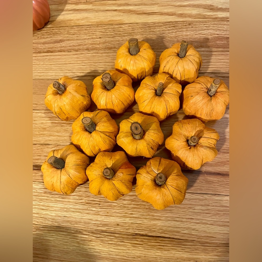 Fall pumpkin decor bundle - Picture 4 of 10
